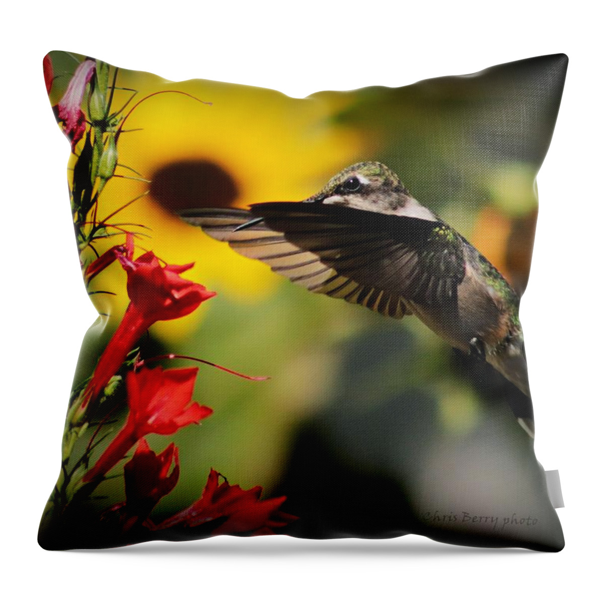 Hummingbird Throw Pillow featuring the photograph Hummingbird and Cypress by Chris Berry