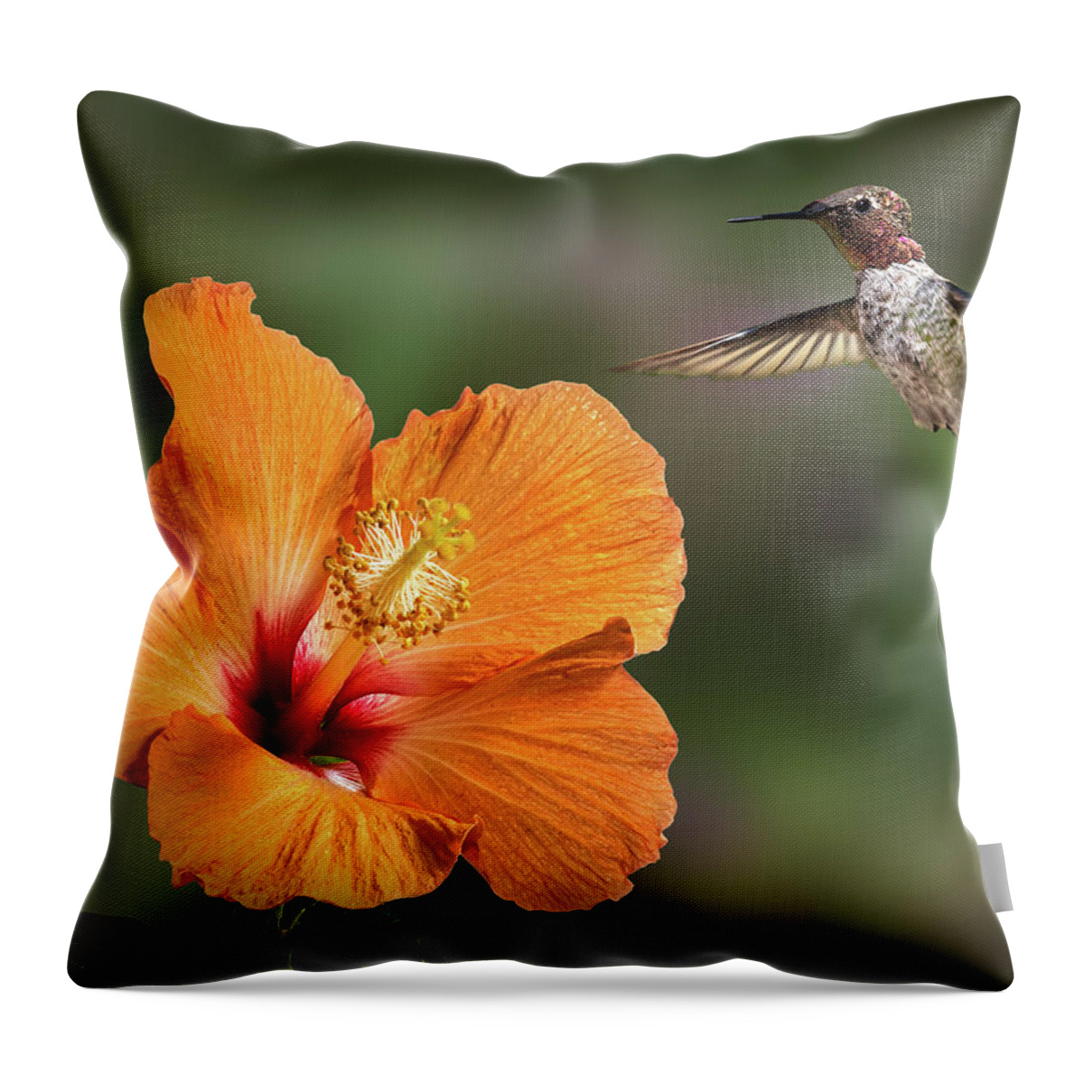 Hummingbird Throw Pillow featuring the photograph Hummingbird and Peach Hibiscus by Endre Balogh