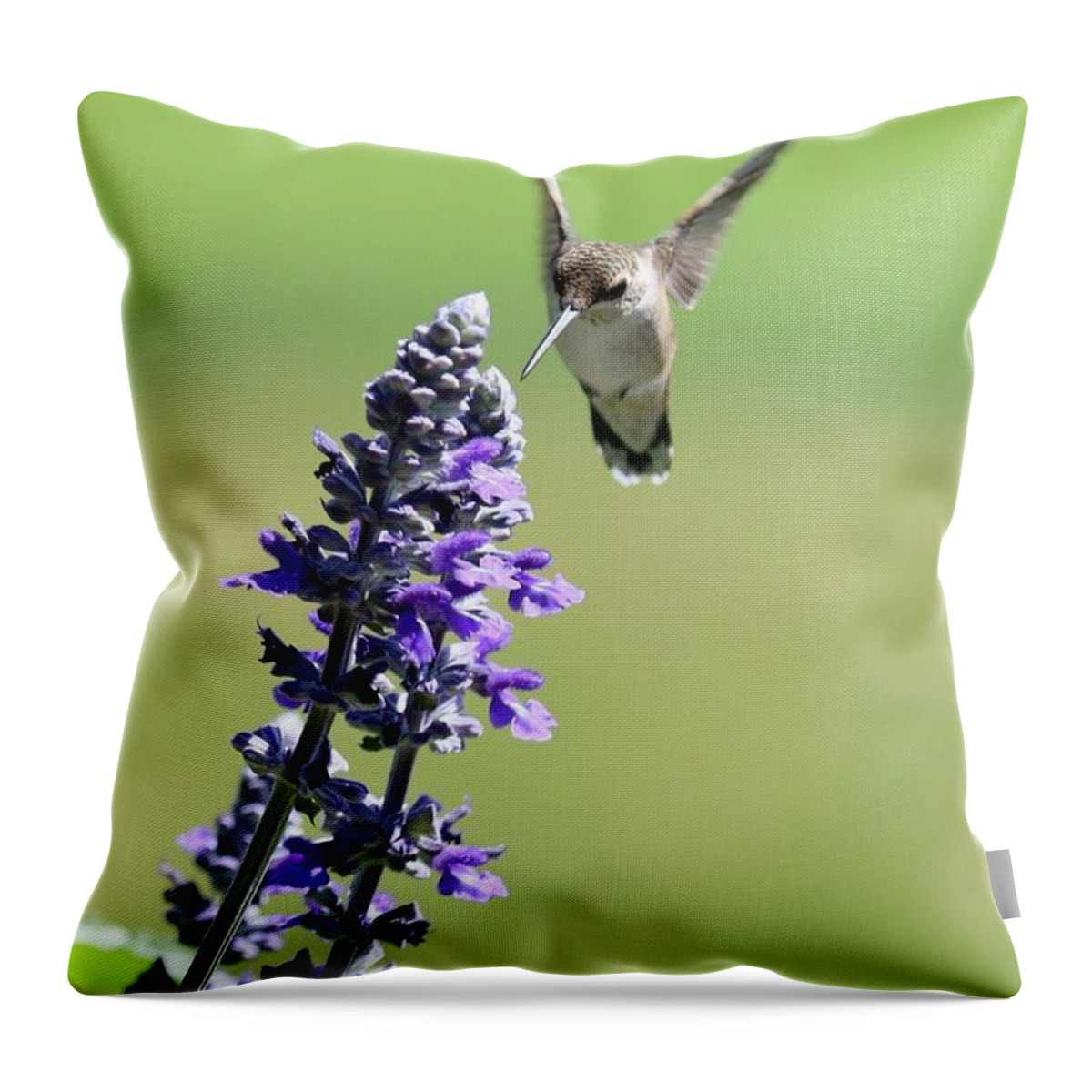 Hummingbird Throw Pillow featuring the photograph Hummingbird Arrival by Carol Groenen