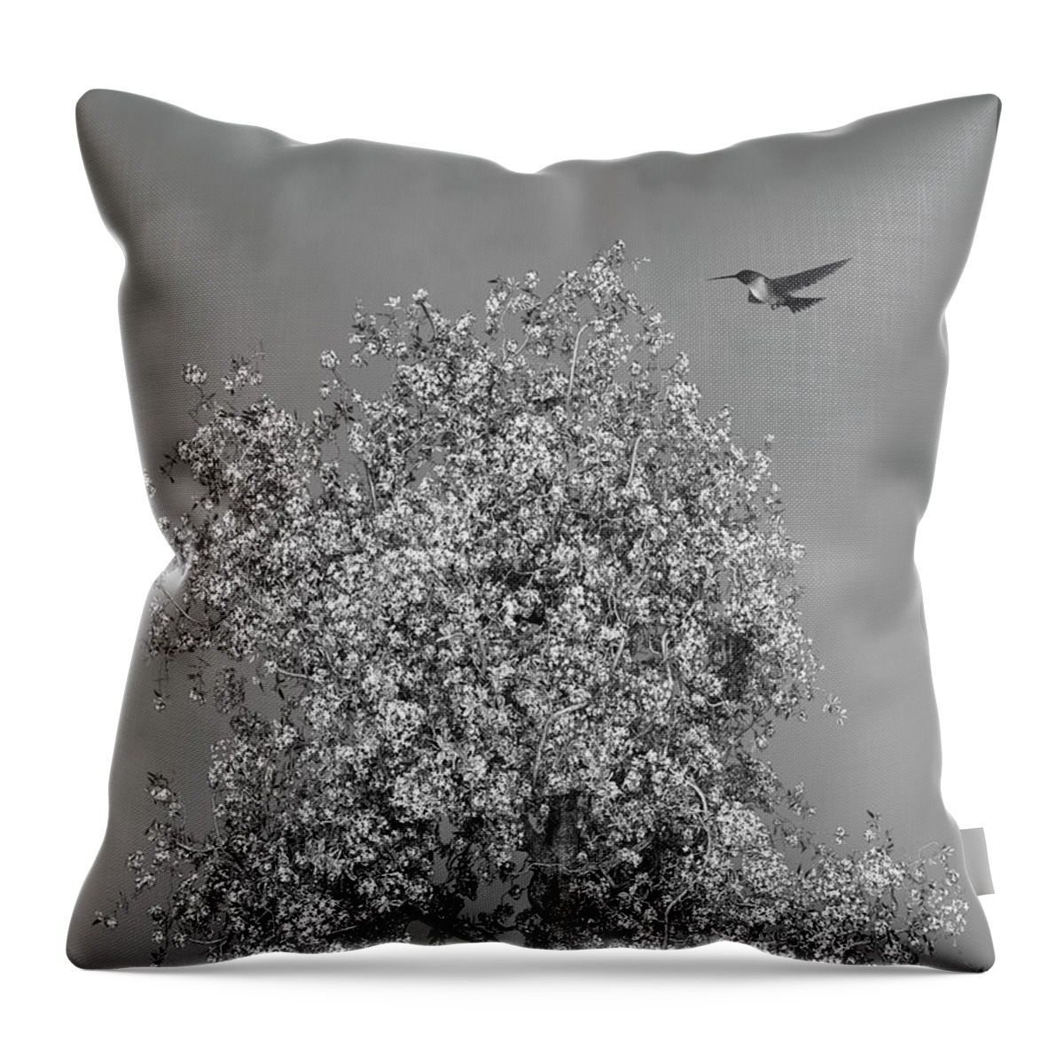 Hummingbird Throw Pillow featuring the mixed media Hummingbird At The Flowering Tree Black and White by David Dehner