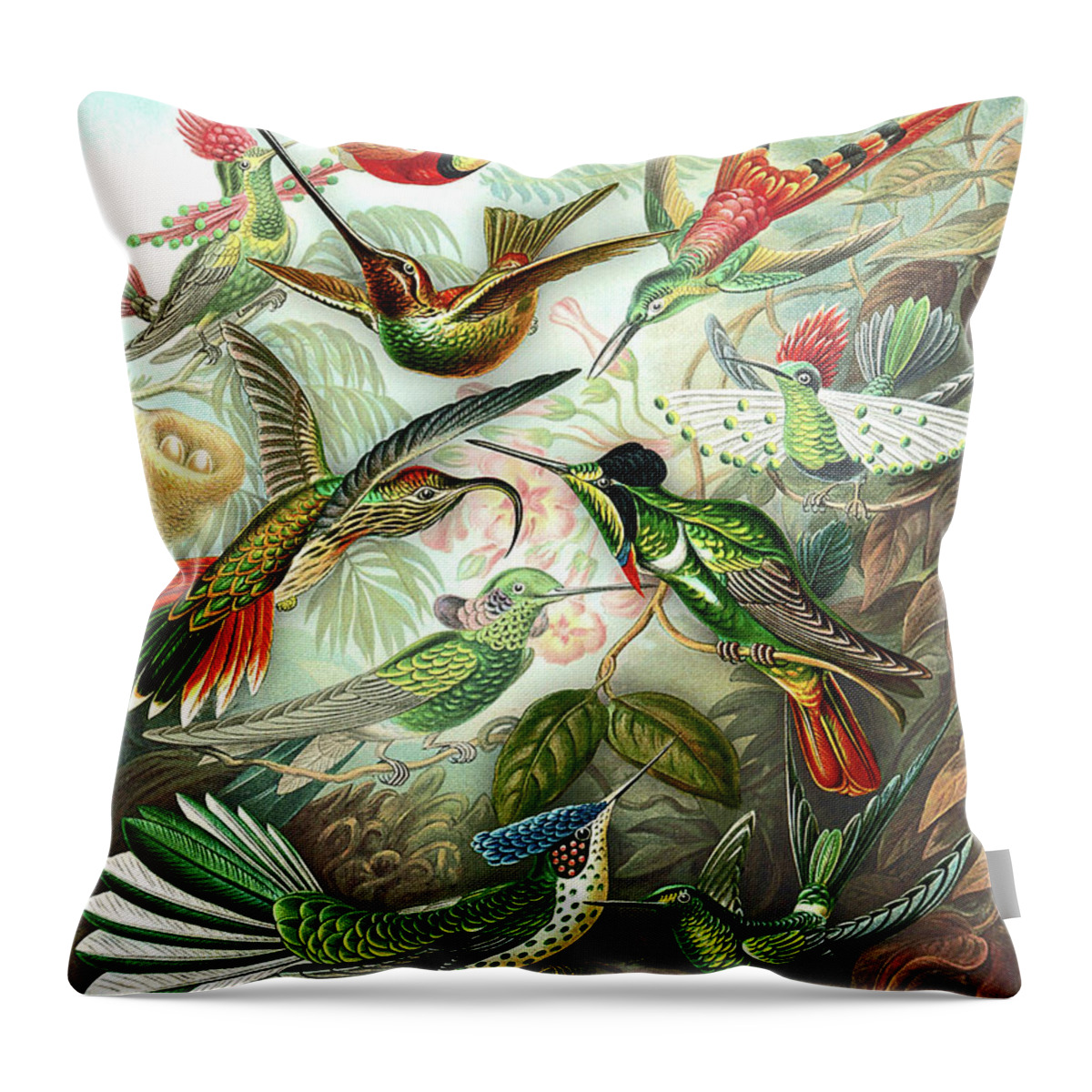 Hummingbird Gathering Throw Pillow featuring the digital art Hummingbird Gathering by Susan Maxwell Schmidt