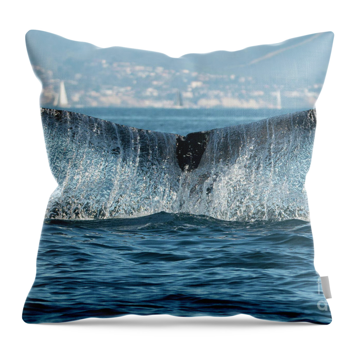 Flukes Throw Pillow featuring the photograph Humpback Waterfall Fluke by Loriannah Hespe