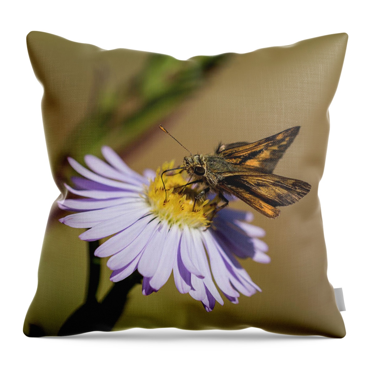 Animals Throw Pillow featuring the photograph Hungry Skipper by Robert Potts