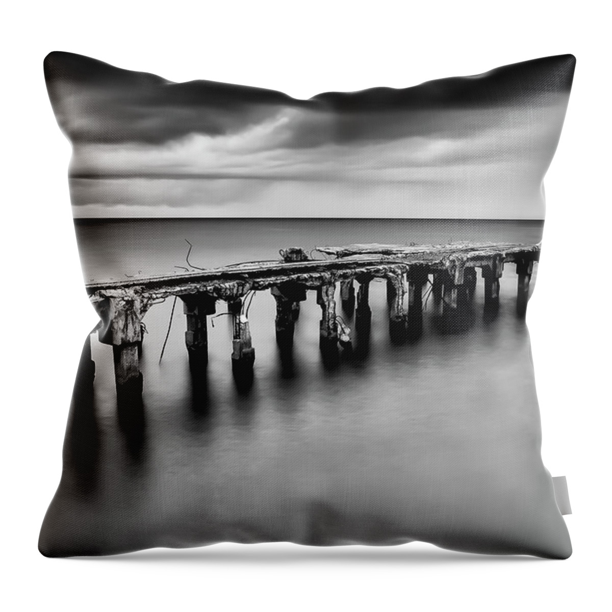 Maui Throw Pillow featuring the photograph Hurricane Survivor In Black and White by Gary Johnson