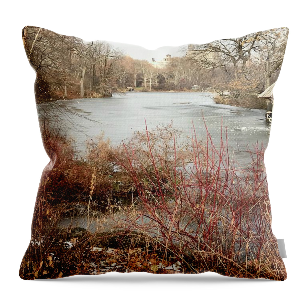  Throw Pillow featuring the photograph Hut on The Lake by Judy Frisk