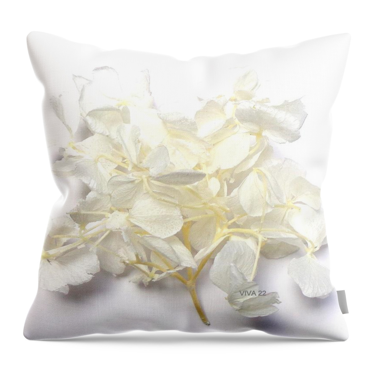 Hydrangea Throw Pillow featuring the photograph Hydrangea - WhiteSprig by VIVA Anderson