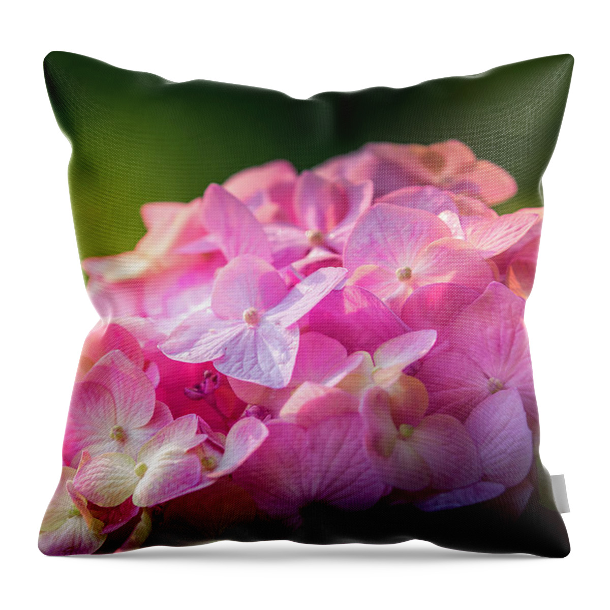 Flower Throw Pillow featuring the photograph Hydrangea by Allin Sorenson