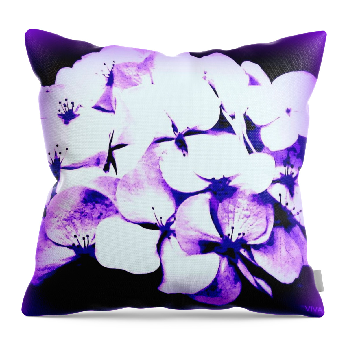 Viva Throw Pillow featuring the photograph Hydrangea Moderne by VIVA Anderson