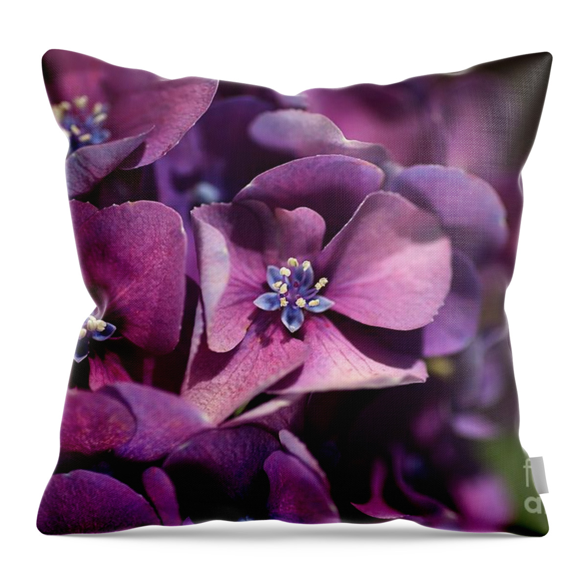 Hydrangea Throw Pillow featuring the photograph Hydrangea Passion by Joy Watson