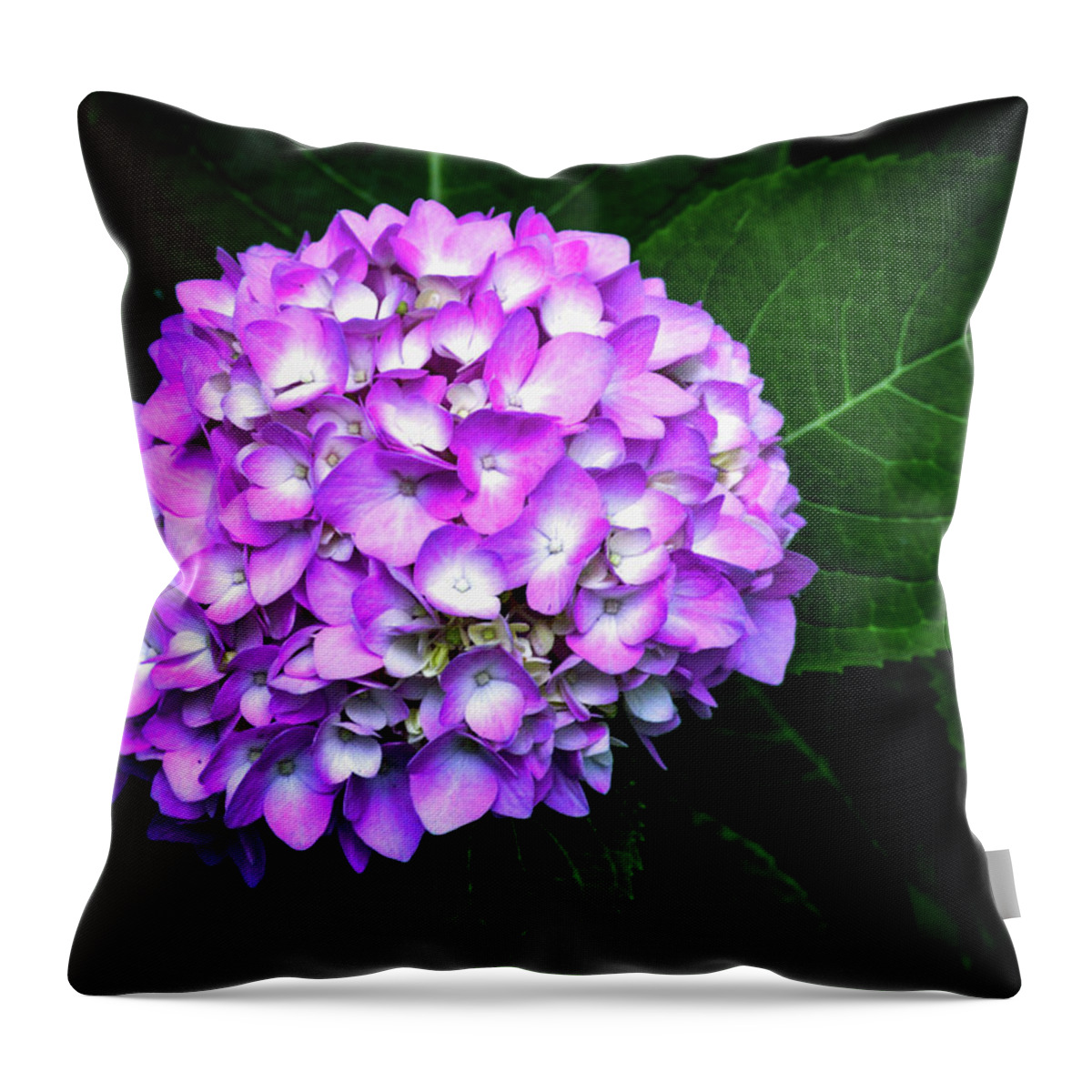 Hydrangea Throw Pillow featuring the photograph Hydrangea by Susie Loechler