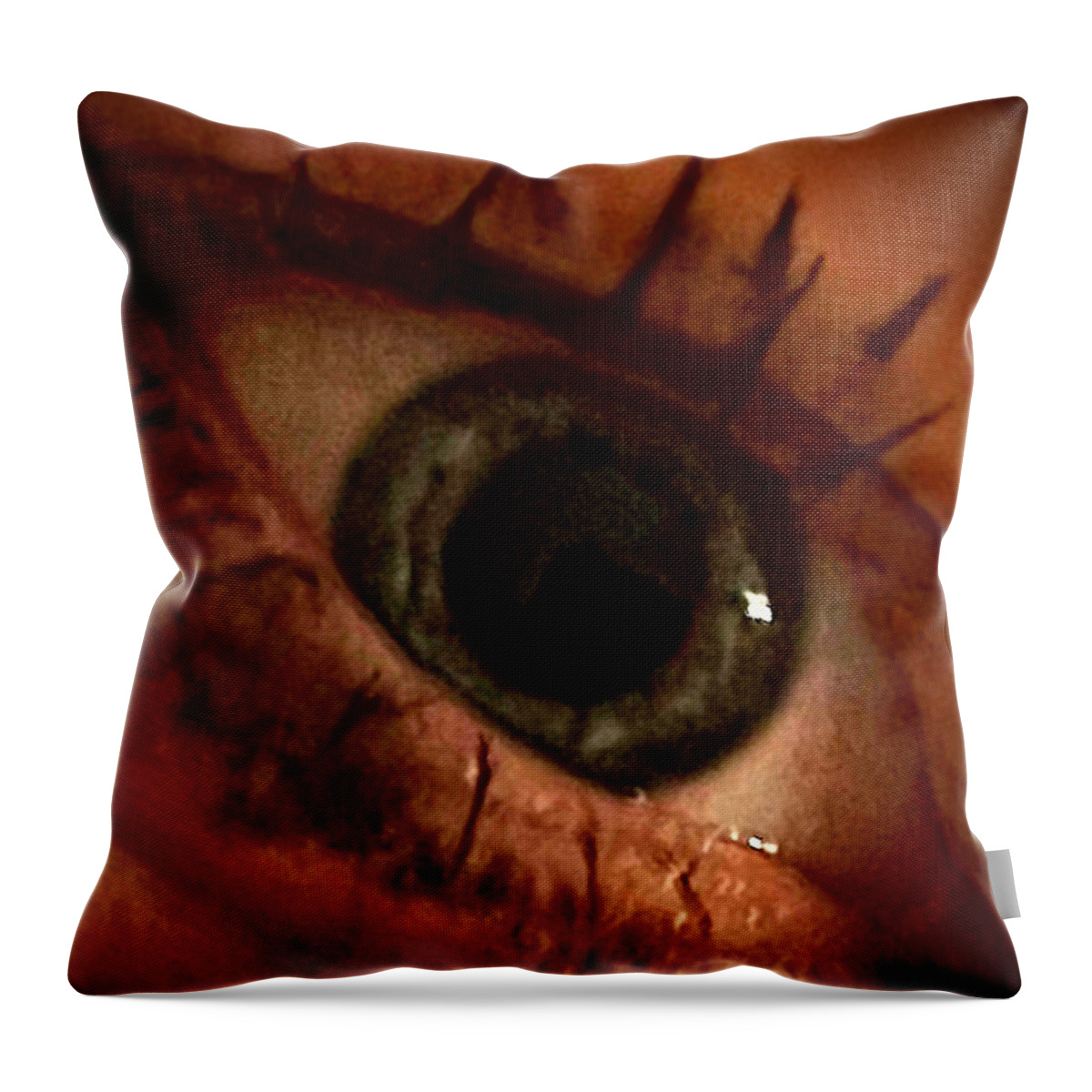 Eye Throw Pillow featuring the photograph I C U by Lee Darnell