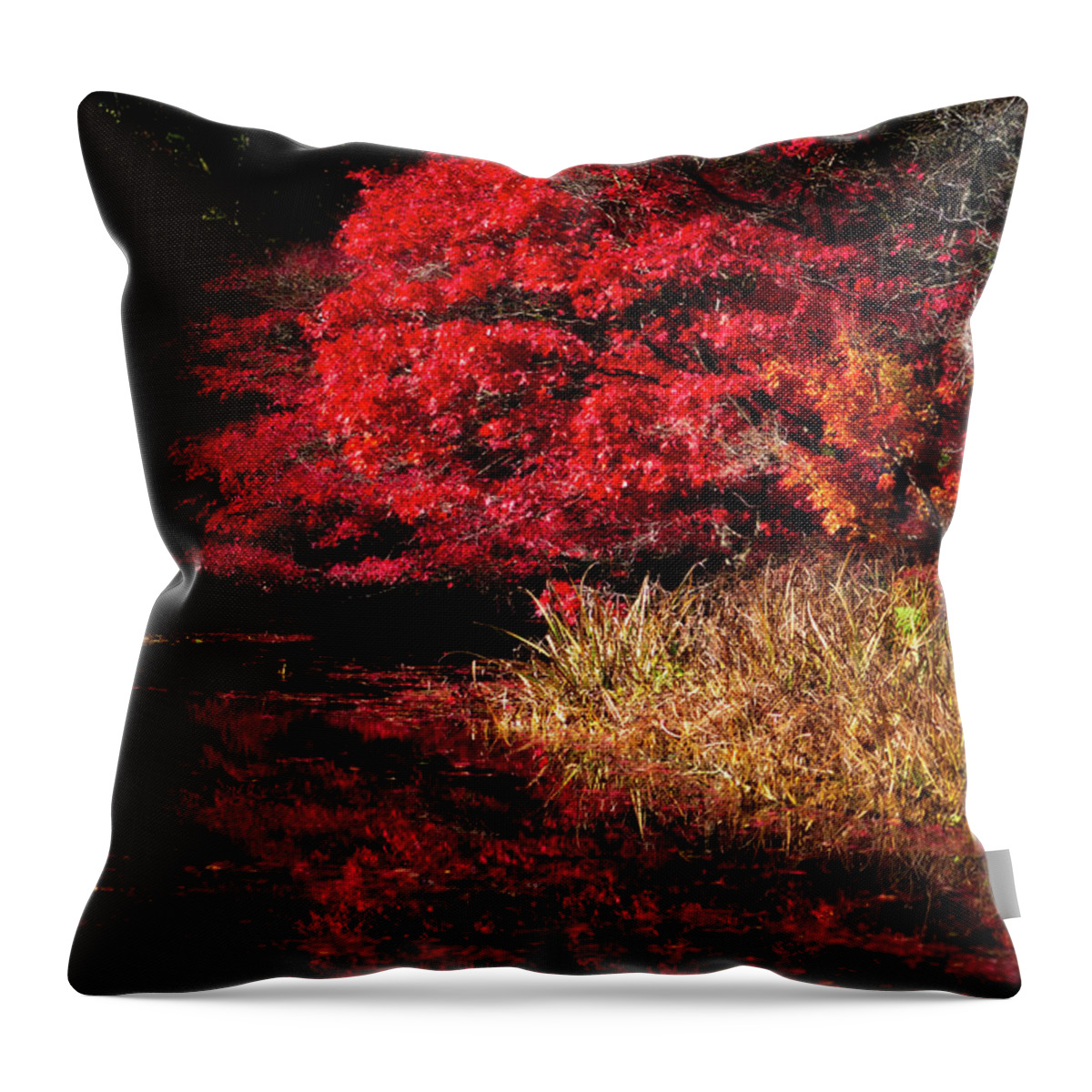 Botanical Throw Pillow featuring the photograph I Can't Stop Looking at My Reflection by Venetta Archer