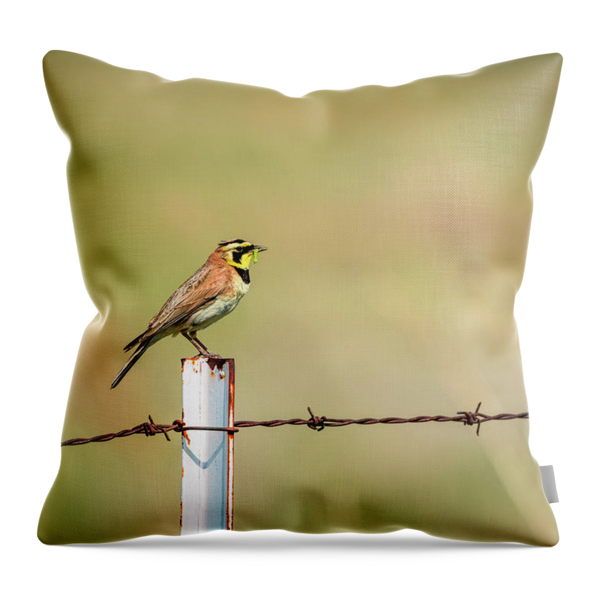 Horned Lark Throw Pillow featuring the photograph I Have Dinner by Pamela Dunn-Parrish
