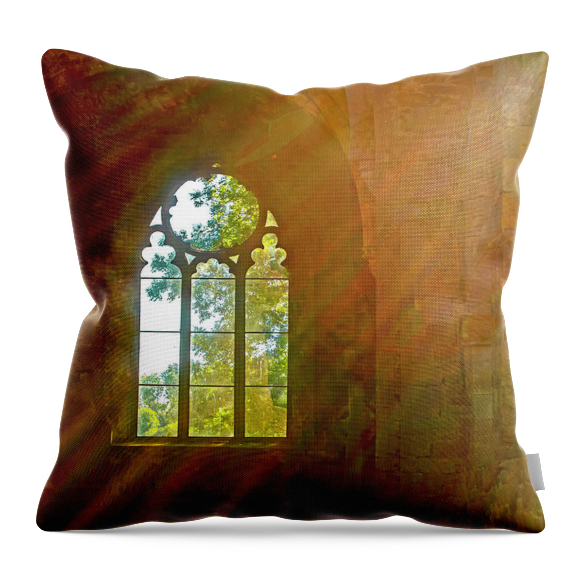 Meditation Throw Pillow featuring the photograph I Imagine You Can See a Mile or Two by Edward Shmunes