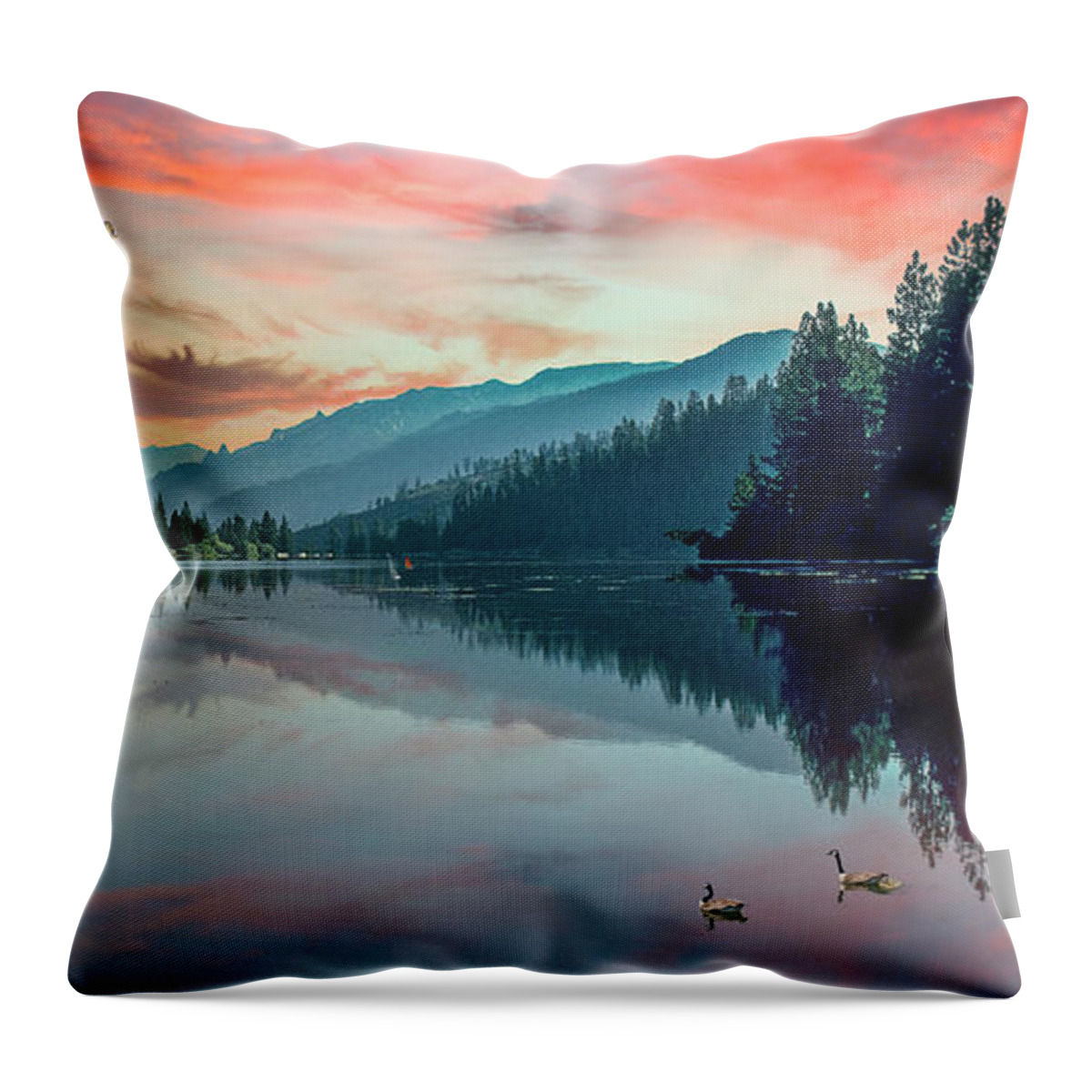 Time Wasted At The Lake Reflect The Beauty Around It And Is Time Well Spent Throw Pillow featuring the photograph I Lake You by David Zanzinger
