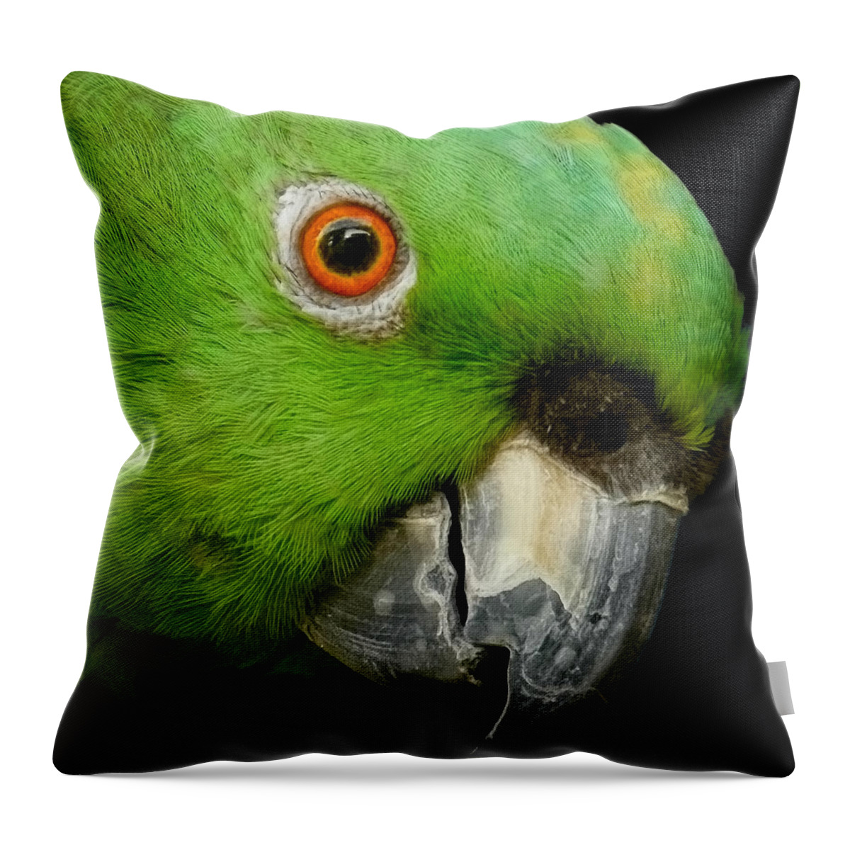Parrot Throw Pillow featuring the photograph I See You by Joe Bonita