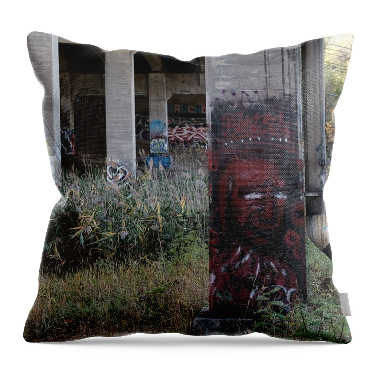 Graffiti Throw Pillow featuring the photograph I spent autumn under bridges VI by Kreddible Trout