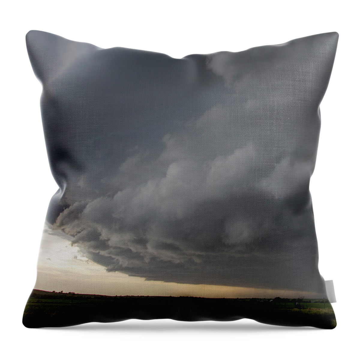 Nebraskasc Throw Pillow featuring the photograph I was not even going to Chase this Day 021 by NebraskaSC