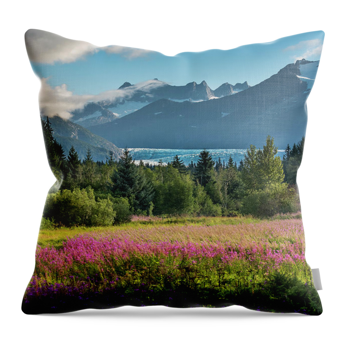Fireweed Throw Pillow featuring the photograph Ice over Fireweed by David Kirby