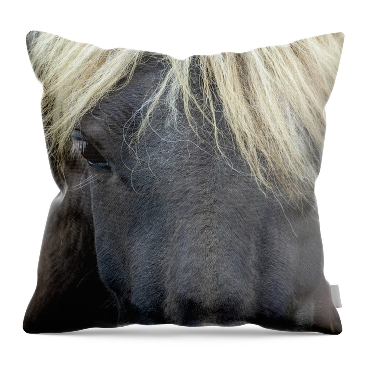 Horse Throw Pillow featuring the photograph Icelandic horse portrait by Delphimages Photo Creations