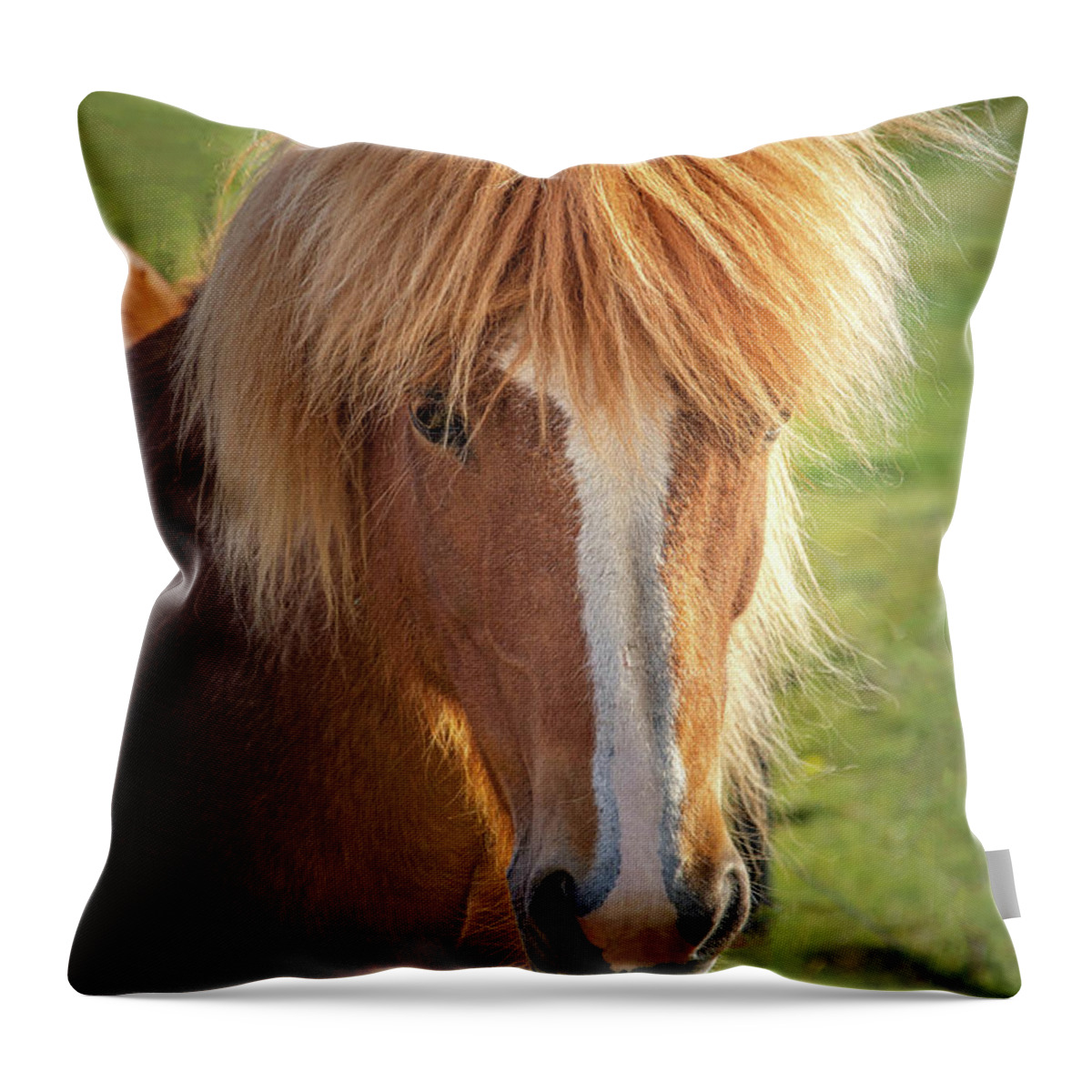 Icelandic Horse Throw Pillow featuring the photograph Icelands Special Breed of Horses by Rebecca Herranen
