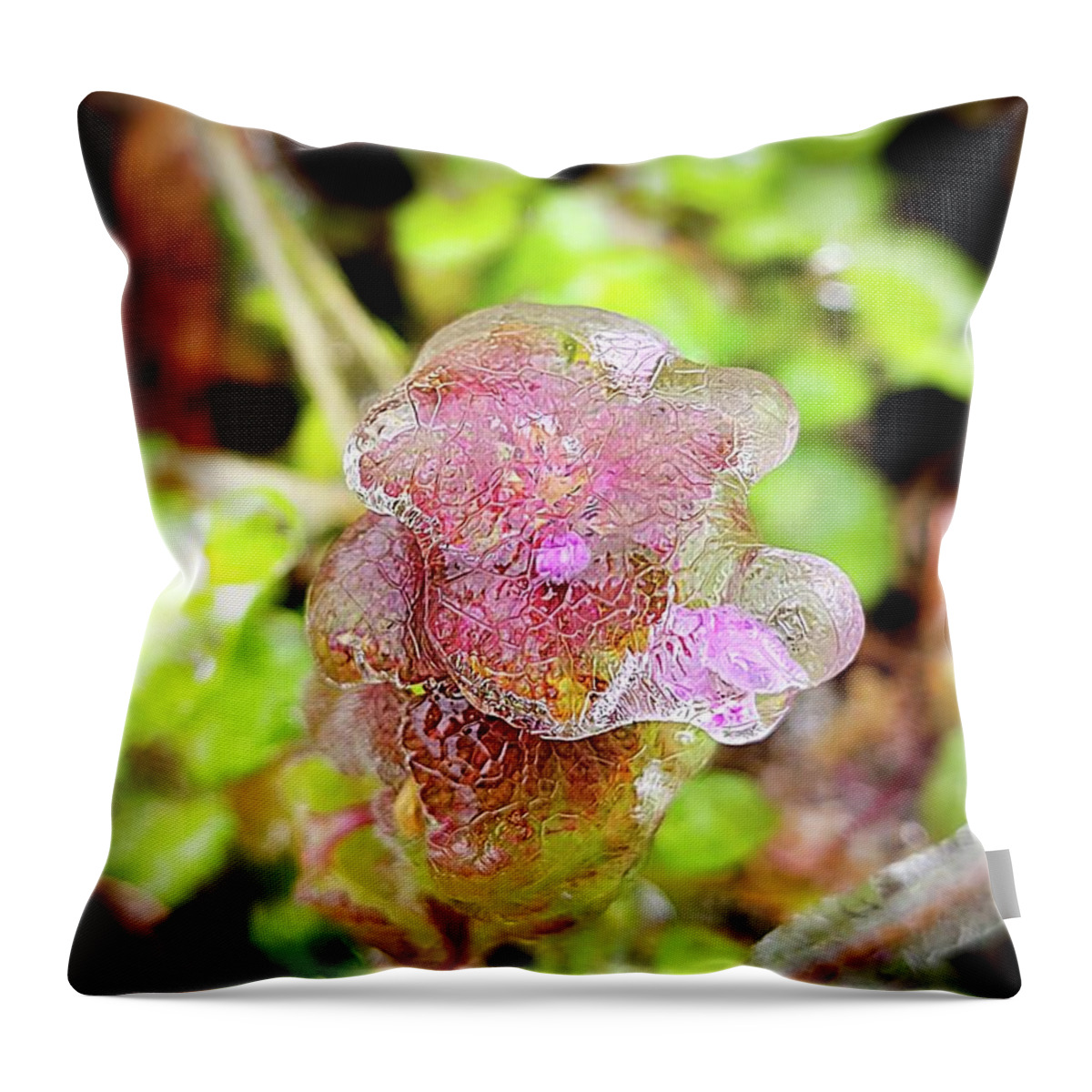 Ice Storm Throw Pillow featuring the photograph Icy Purple Deadnettle by Ally White