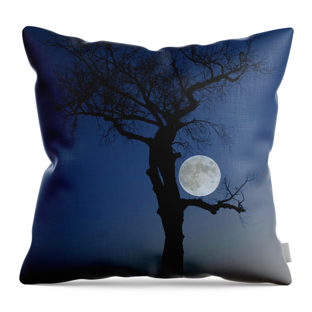 Frost Moon Throw Pillow featuring the photograph Idiosyncrasy by Aaron J Groen