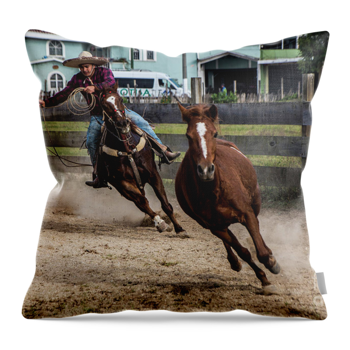 Chiapas Throw Pillow featuring the photograph I'll Get You by Kathy McClure