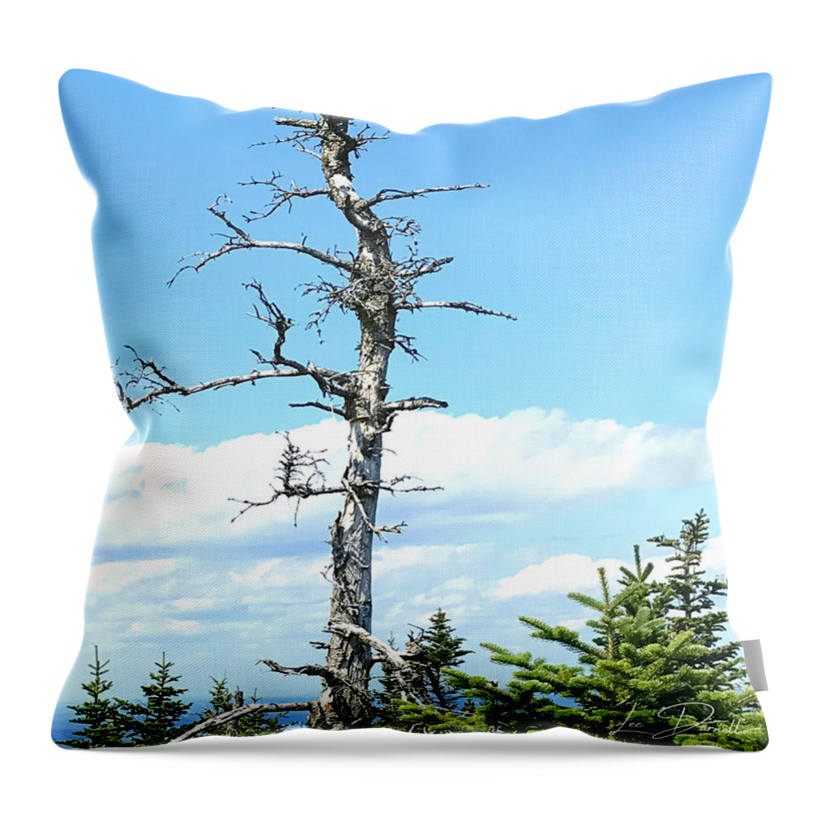 Tree Throw Pillow featuring the photograph I'm Still Standing by Lee Darnell