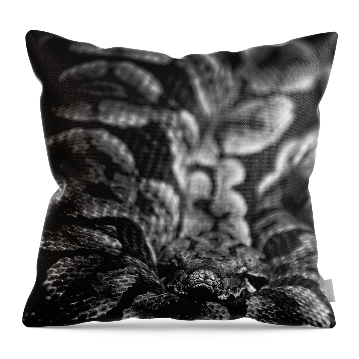 Snake Throw Pillow featuring the photograph I'm Waiting by George Taylor