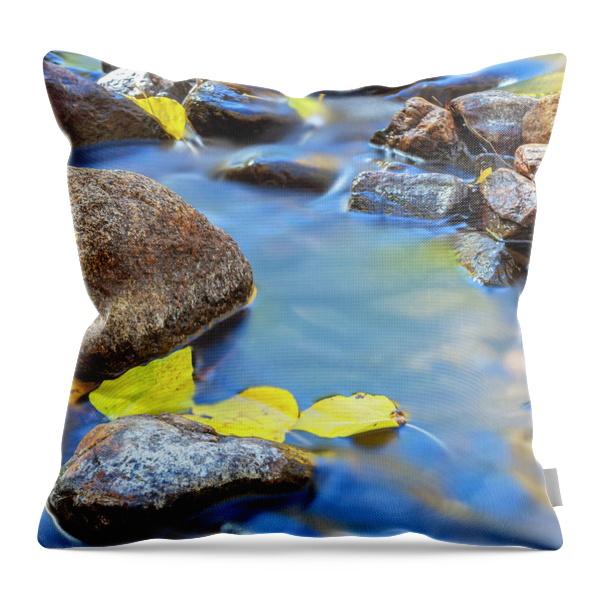 Fall Throw Pillow featuring the photograph Impresions Of Autumn by Jonathan Nguyen