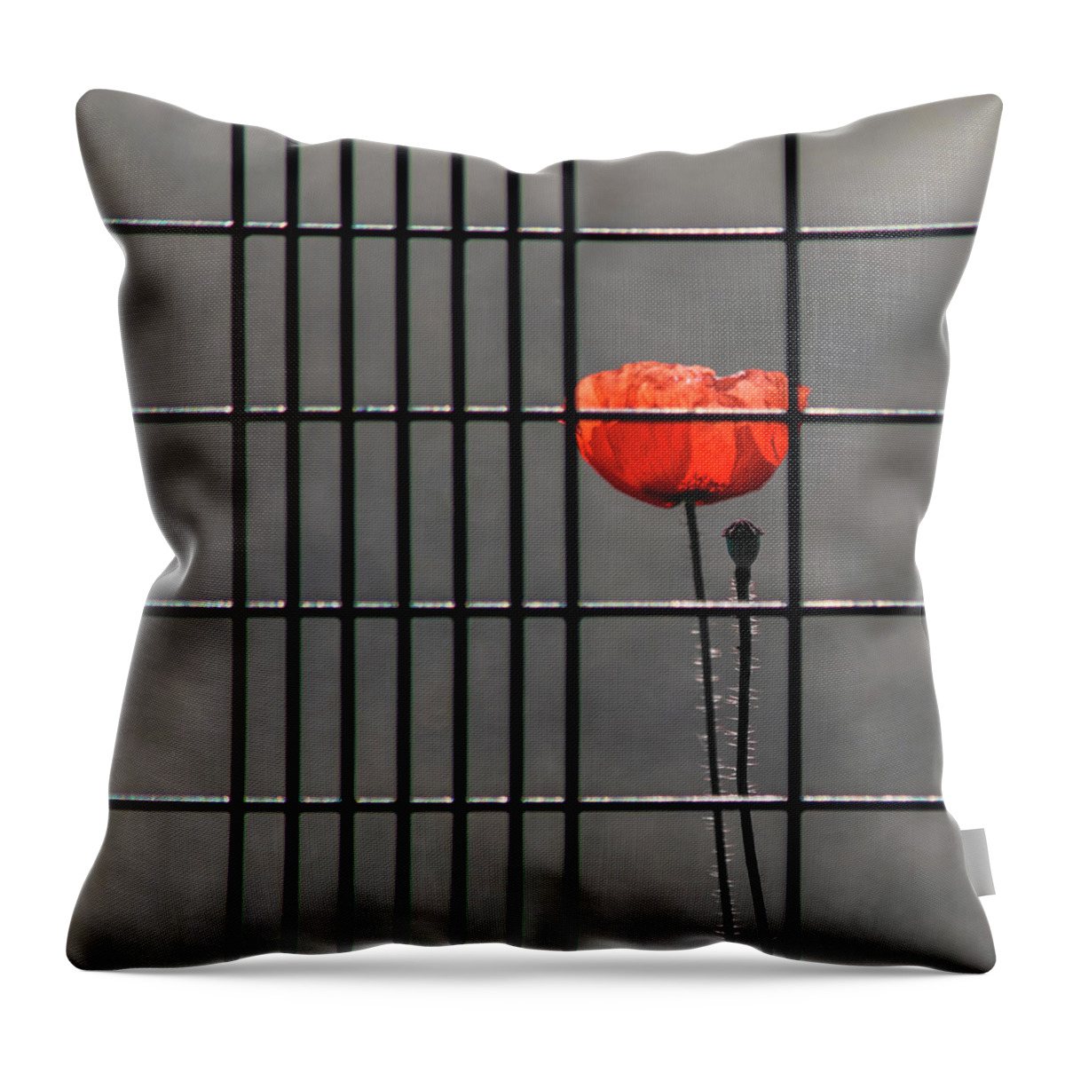 Poppy Throw Pillow featuring the photograph Square - Imprisoned Poppy by Stuart Allen