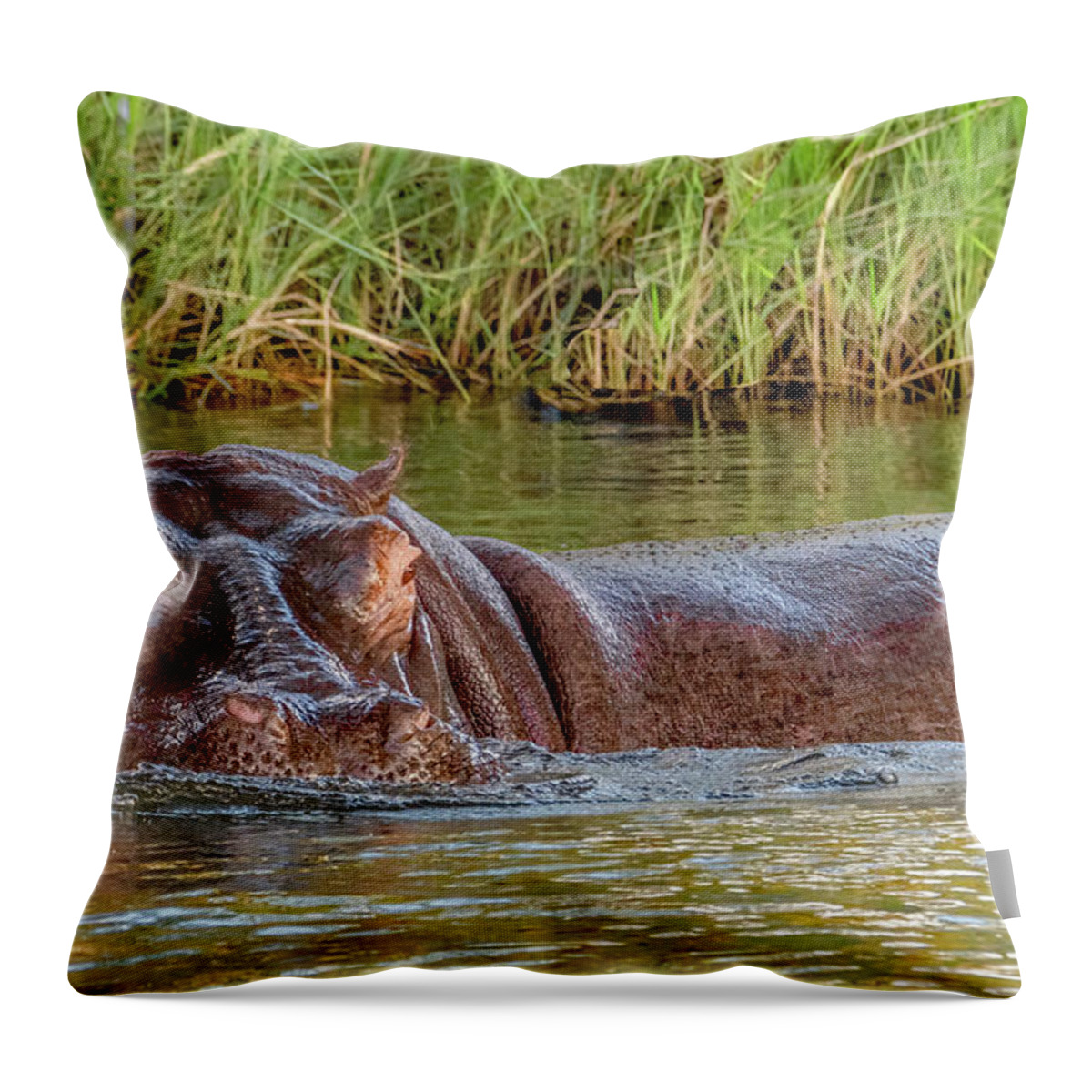 South Africa Throw Pillow featuring the photograph In Charge of the River by Marcy Wielfaert