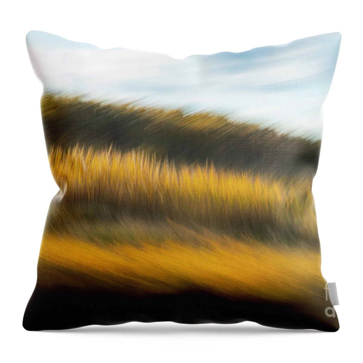 Abstracts Throw Pillow featuring the photograph In Fields of Gold by Marilyn Cornwell
