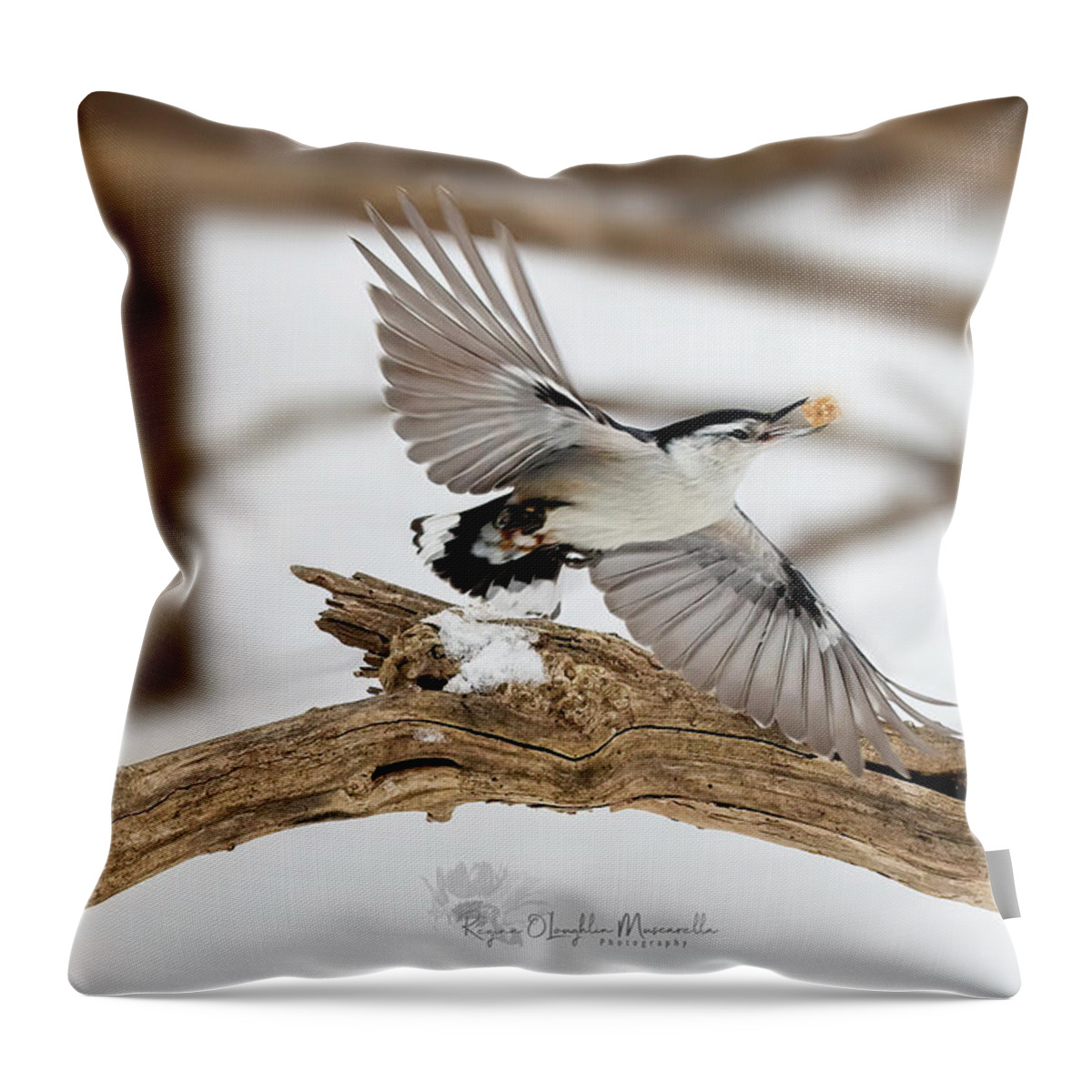 Bird Throw Pillow featuring the photograph In Flight by Regina Muscarella