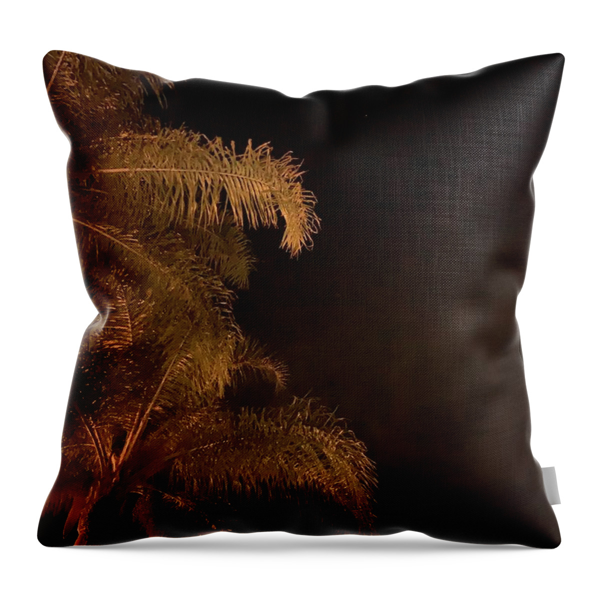 Love Throw Pillow featuring the photograph In Love And Light by Tiesa Wesen
