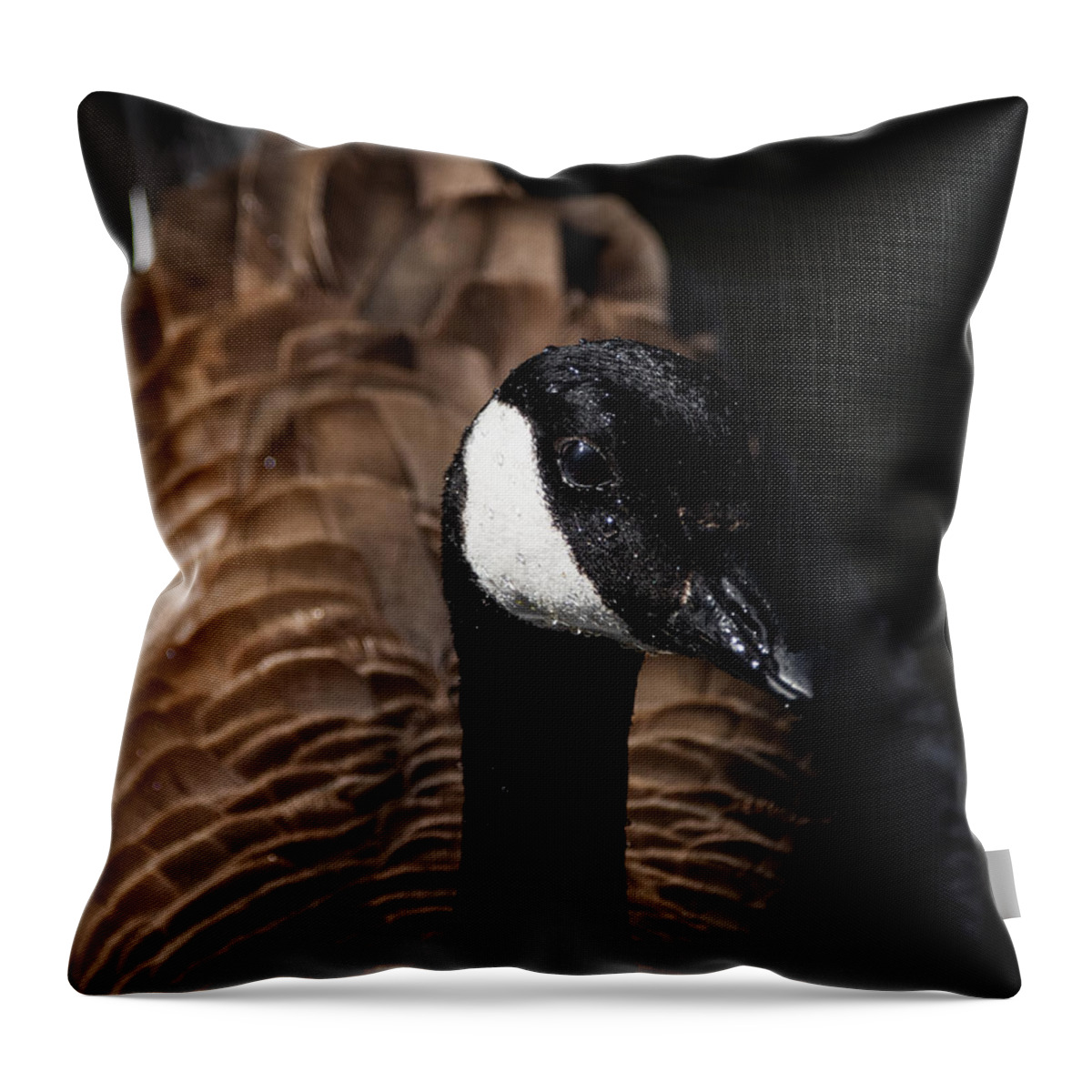 Wildlife Throw Pillow featuring the photograph In My Space by Linda Bonaccorsi