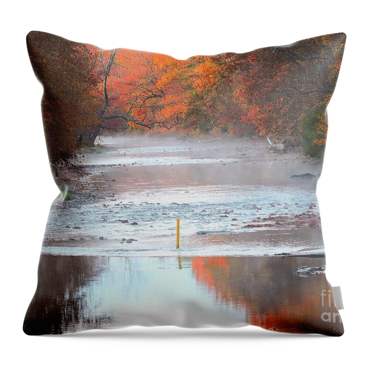Mist Throw Pillow featuring the photograph In The Early Morning Mist by Tami Quigley