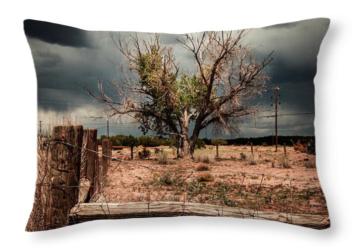 Arizona Throw Pillow featuring the photograph In the Eye of the Storm by Carmen Kern