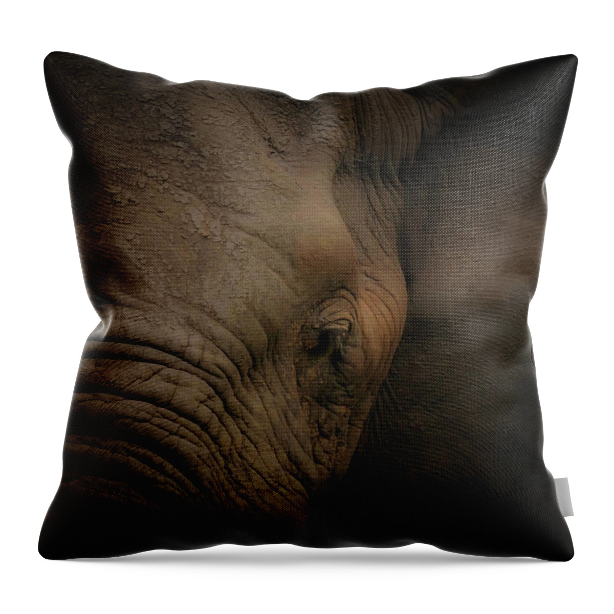 Elephant Portrait Throw Pillow featuring the photograph In the Face of Danger by Rebecca Herranen