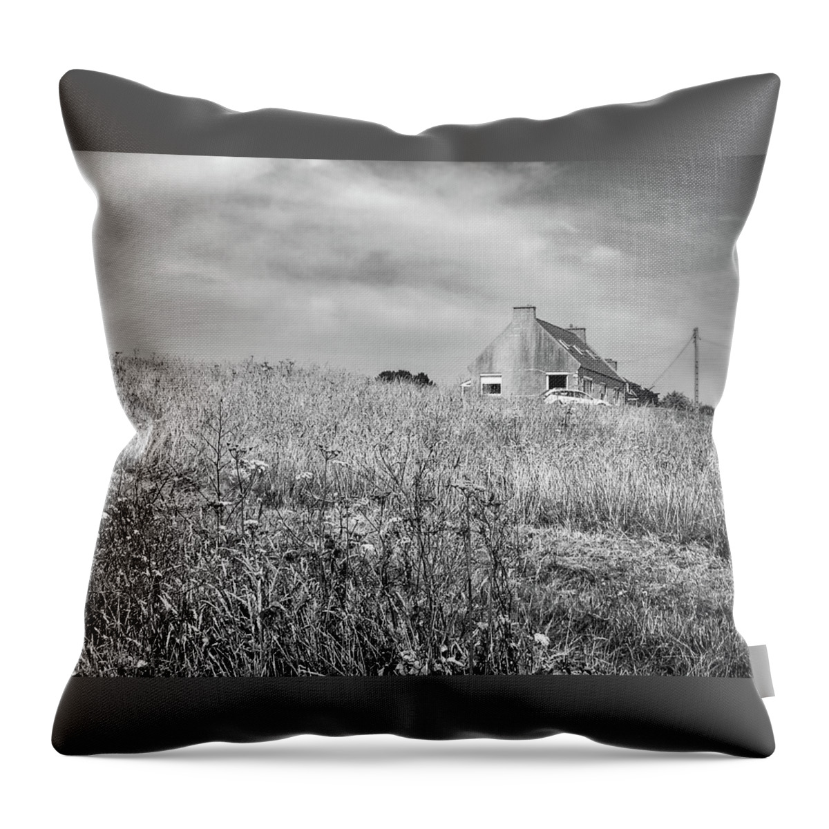 House Throw Pillow featuring the photograph In the field by Jim Feldman