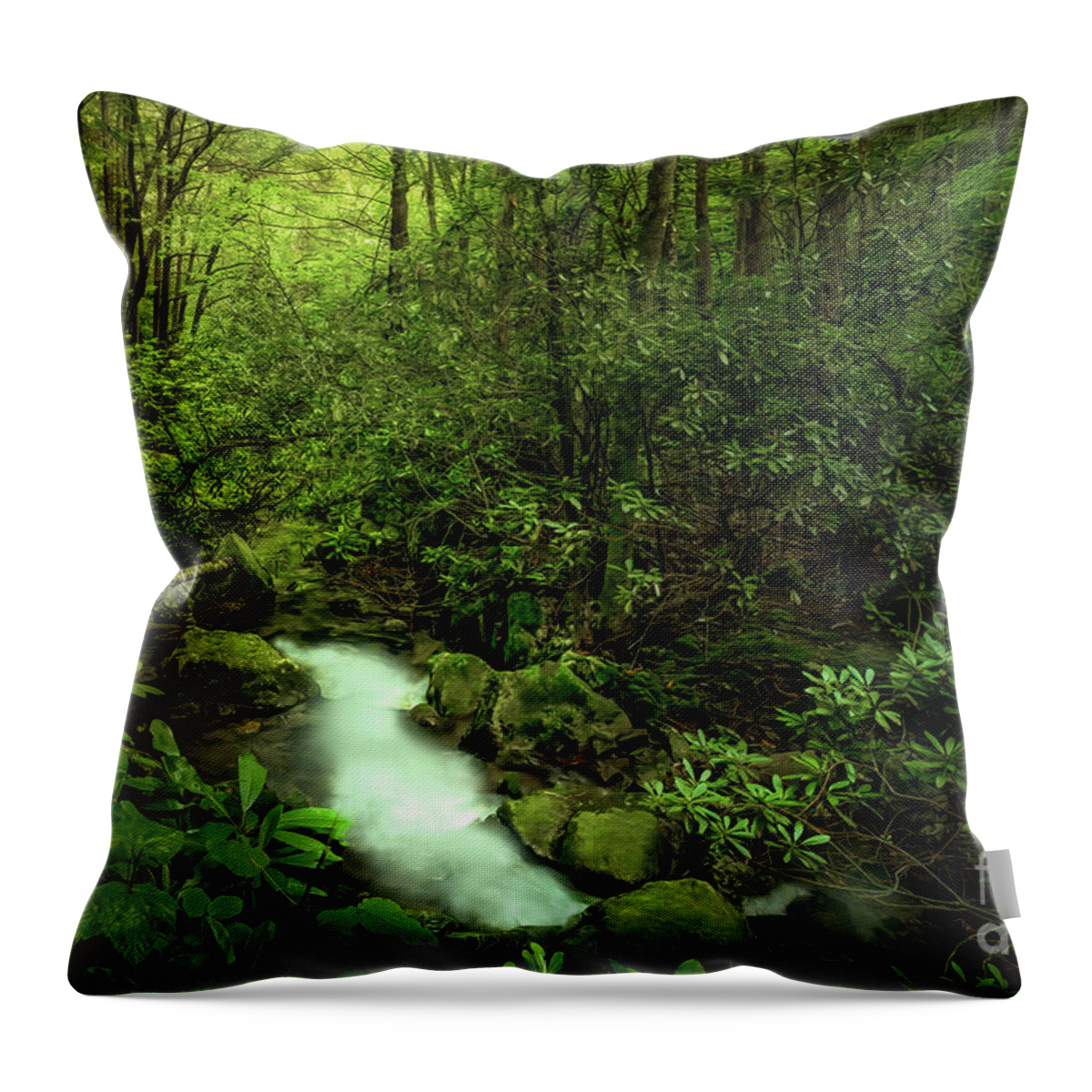 Cascades Throw Pillow featuring the photograph In the Hollows of the Blue Ridge Mountains by Shelia Hunt