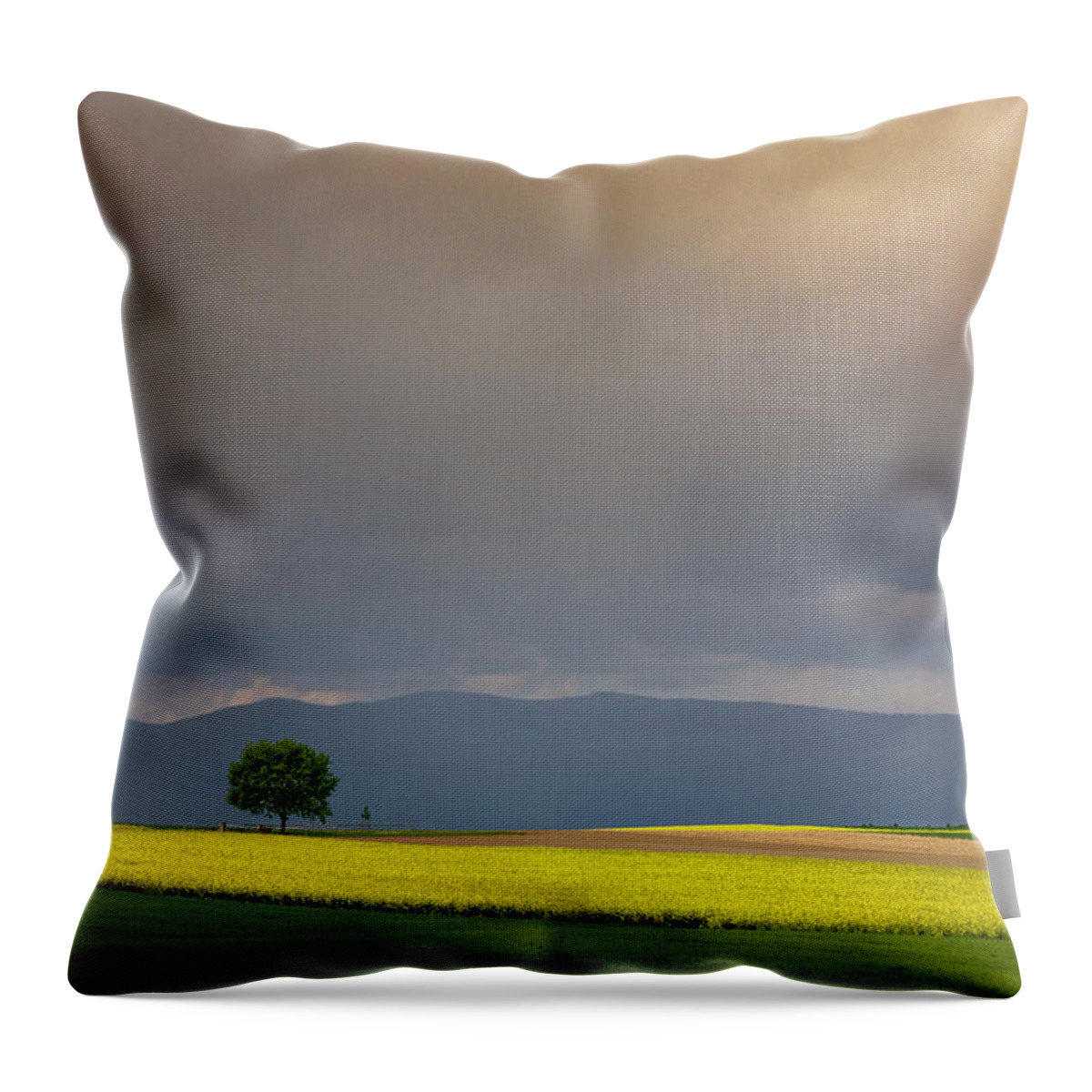 Rapeseed Throw Pillow featuring the photograph In the light of spring by Dominique Dubied