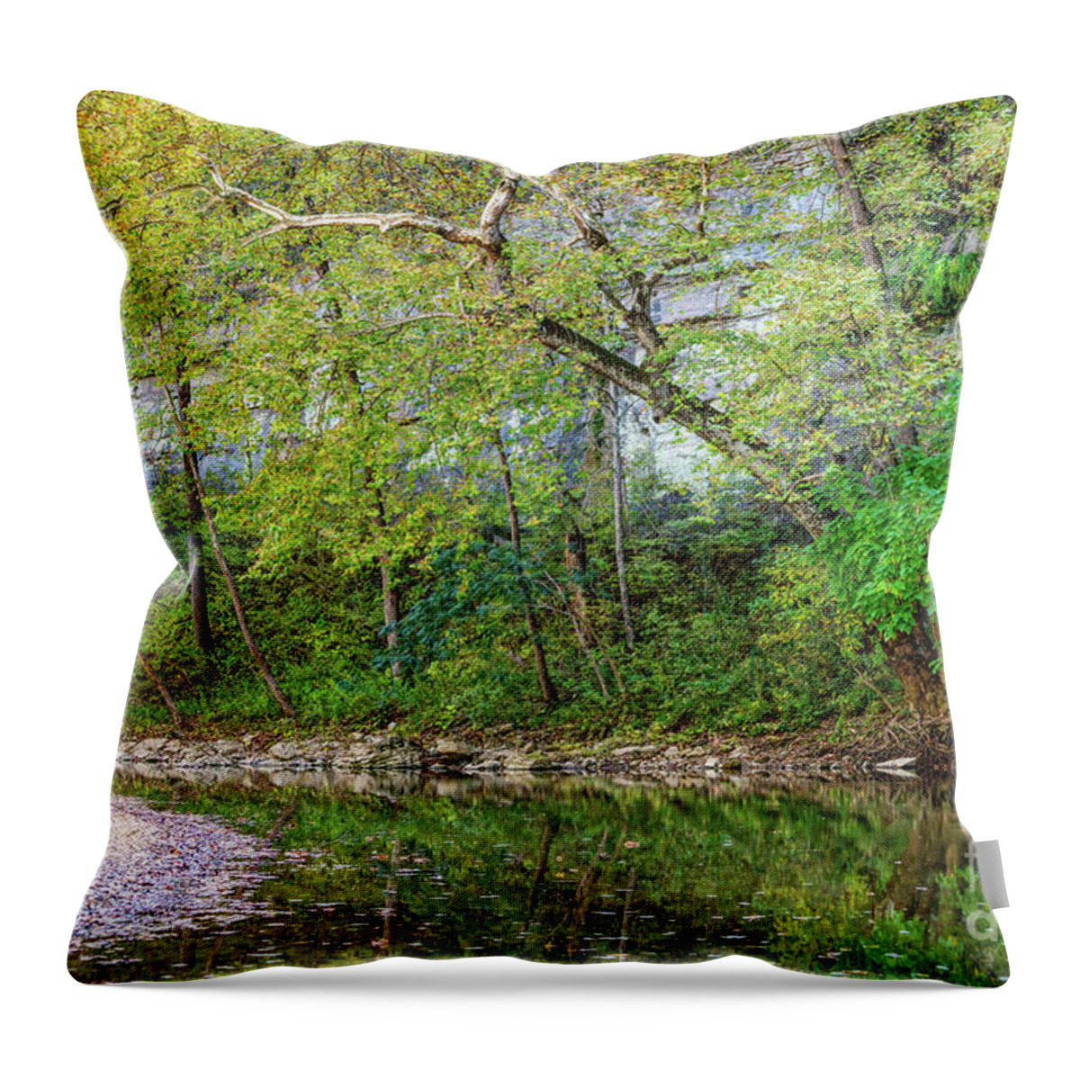 Buffalo National River Throw Pillow featuring the photograph In The Shade At Buffalo National River by Jennifer White