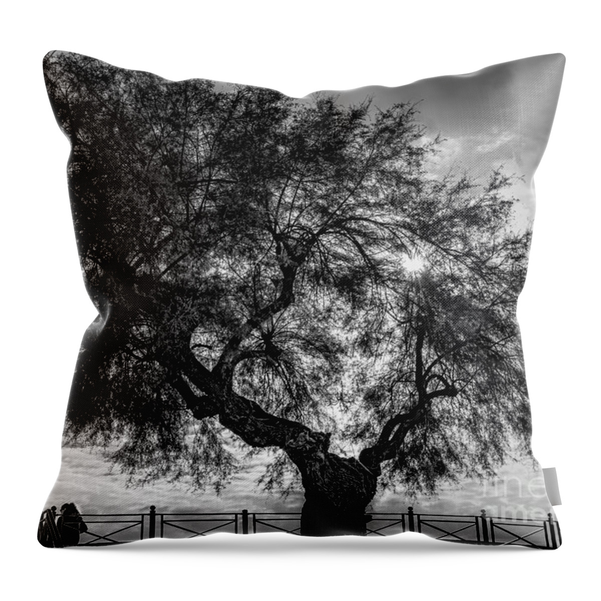 Scene Throw Pillow featuring the photograph In the shade of a large tree by The P