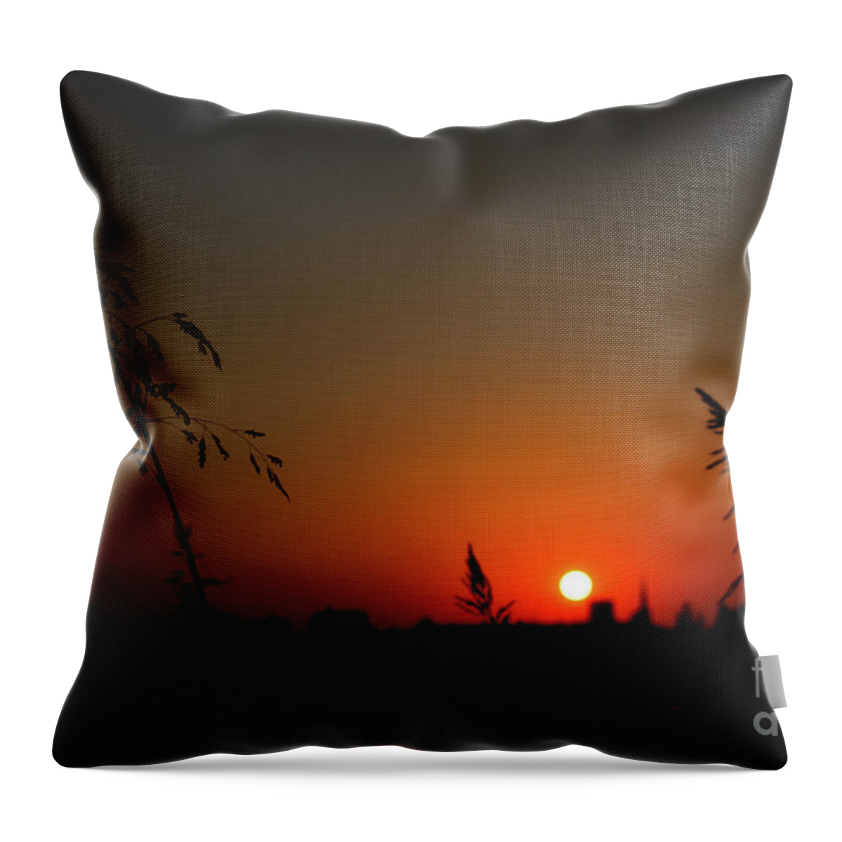 Nature Throw Pillow featuring the photograph In the Vermilion Fields of Twilight by Leonida Arte