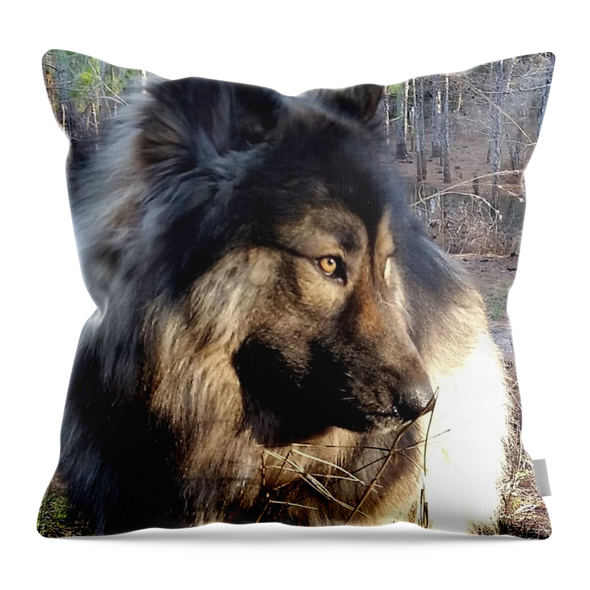  Throw Pillow featuring the photograph My Dog of the Woods by Barbie Batson