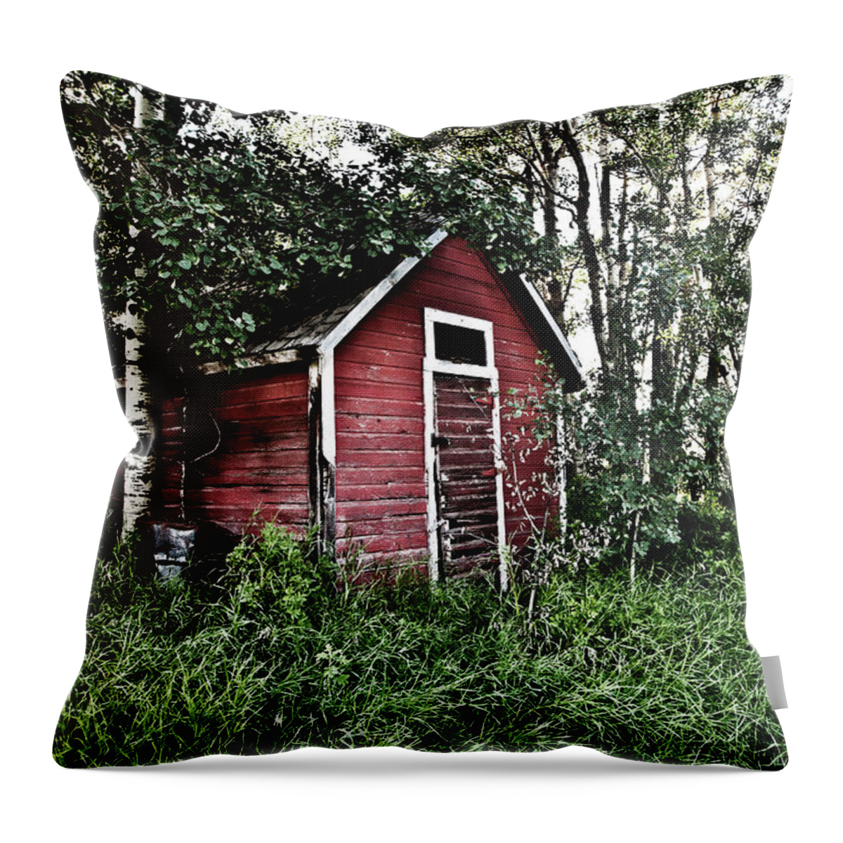 Barn Throw Pillow featuring the photograph In The Woods by Carmen Kern