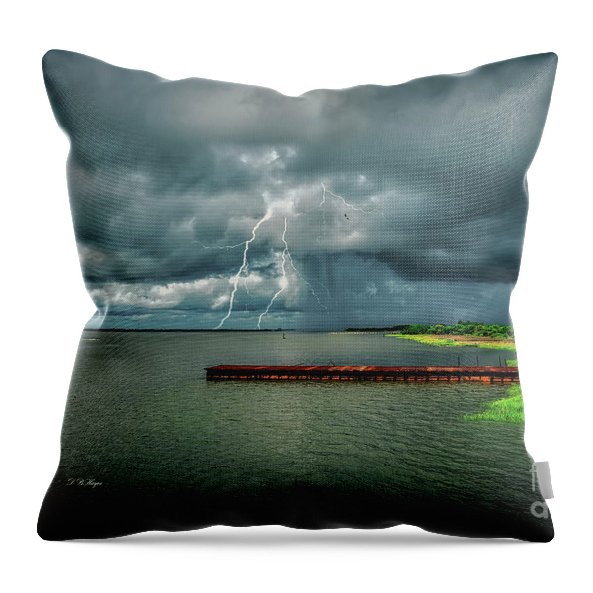 Landscapes Throw Pillow featuring the photograph Incoming by DB Hayes