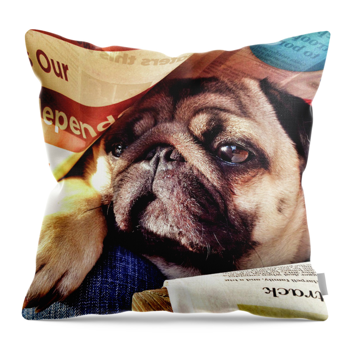 Pug Throw Pillow featuring the photograph Independence Day by Robert Dann